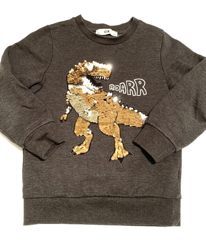 Sweat dinosaure C&A