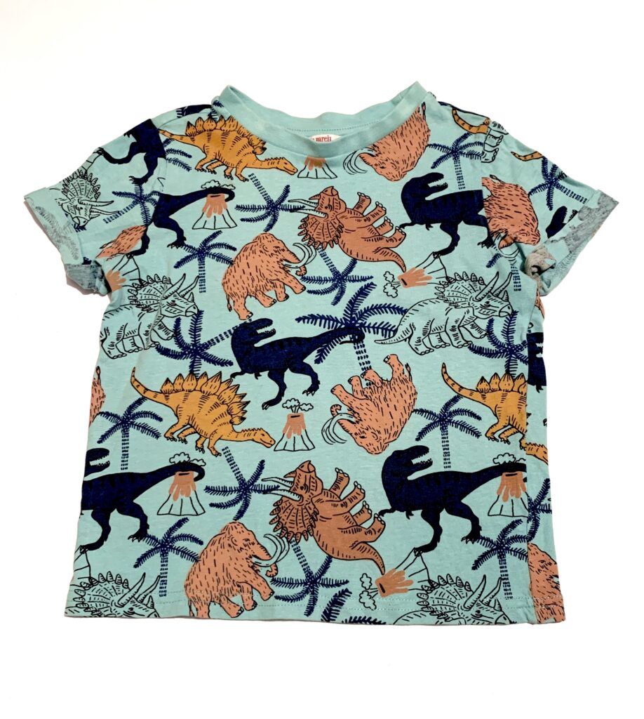 T-shirt dinosaures DPAM