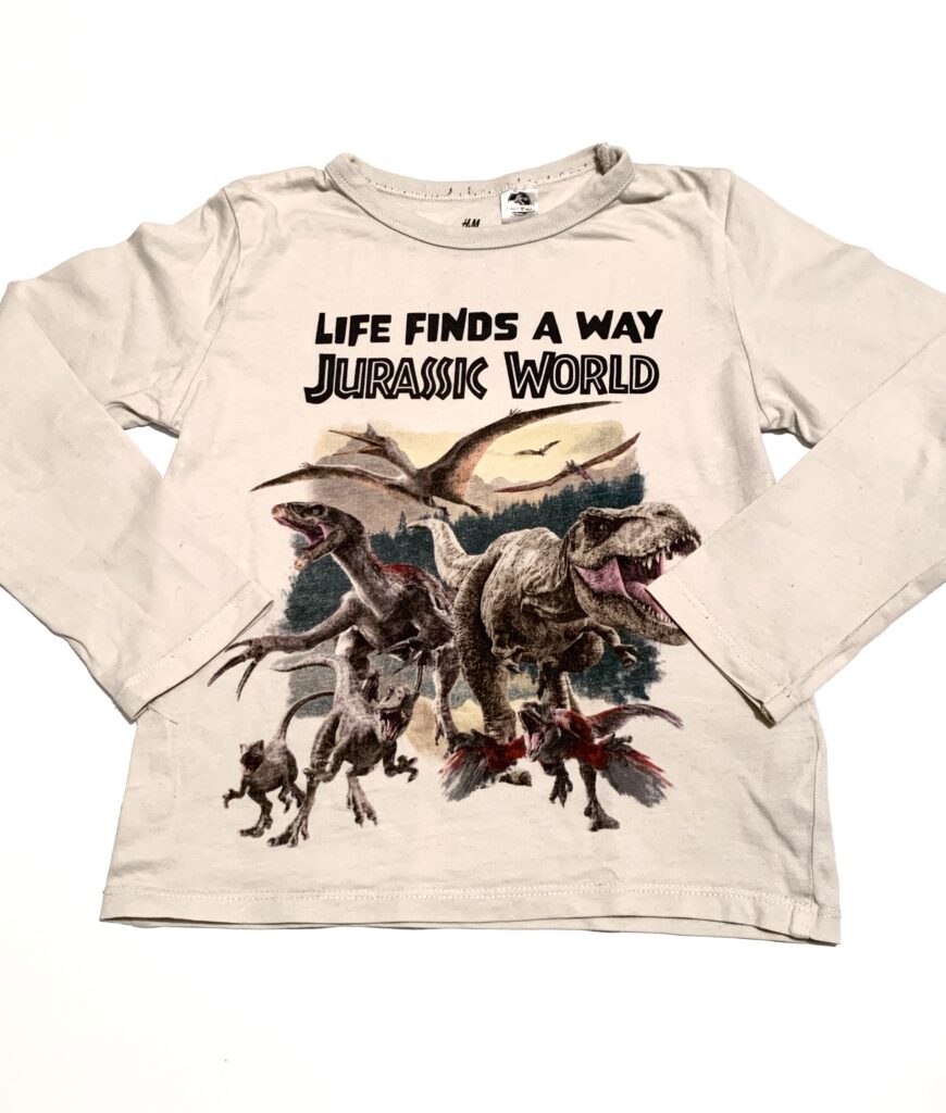 T-shirt dinosaures H&M