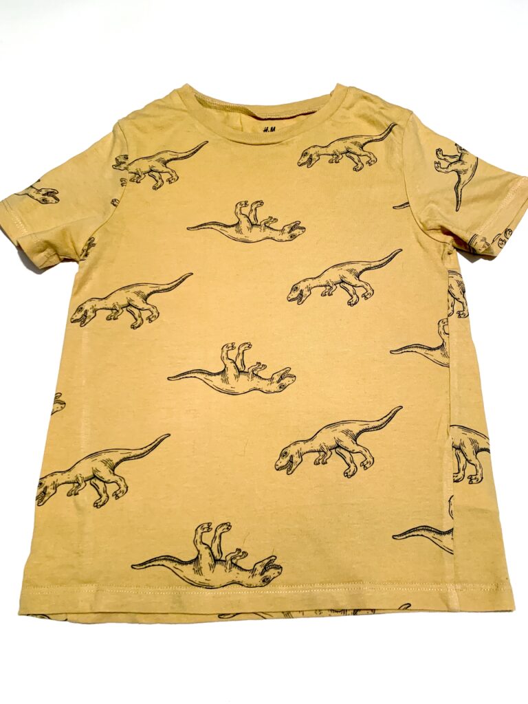 T-shirt dinosaure H&M