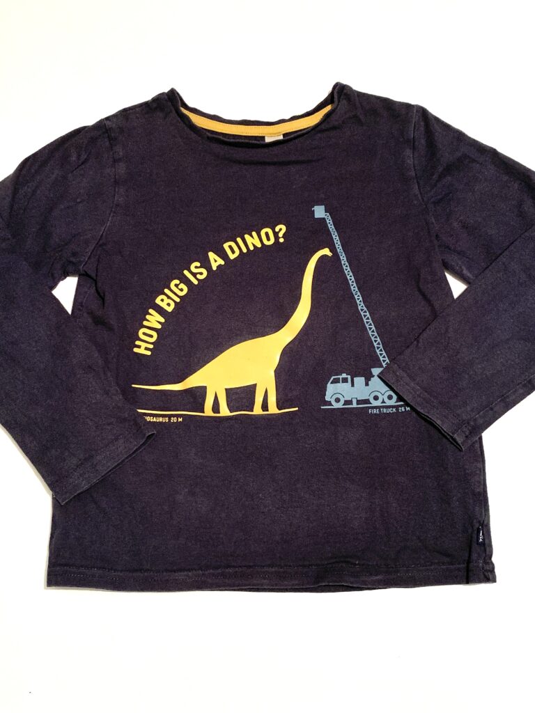 T-shirt Dinosaure Obaibi/Okaidi