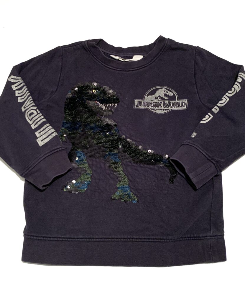 Sweat Jurassic world H&M