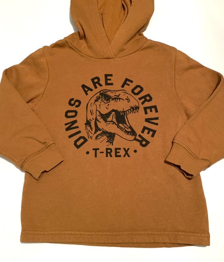 Sweat dinosaure H&M