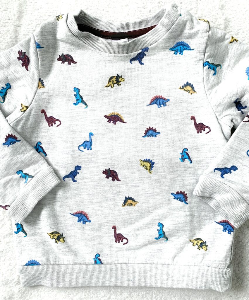 Sweat dinosaures 🦕 C&A