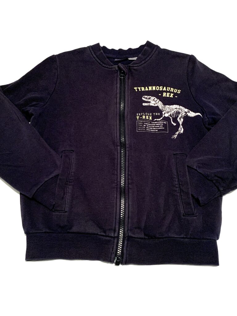 Sweat zippé dino